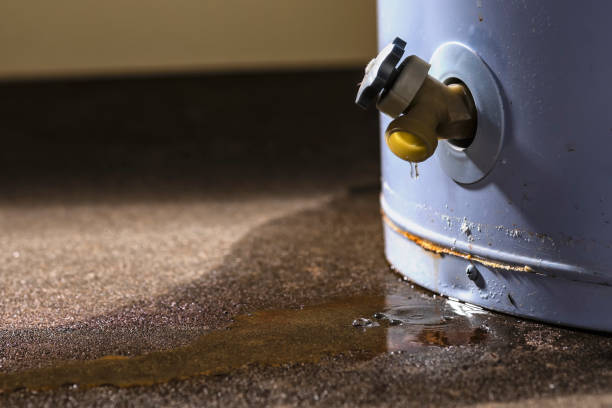Best Mold removal after water damage  in Macopin, NJ