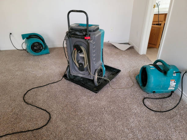 Best Local water damage restoration  in Macopin, NJ