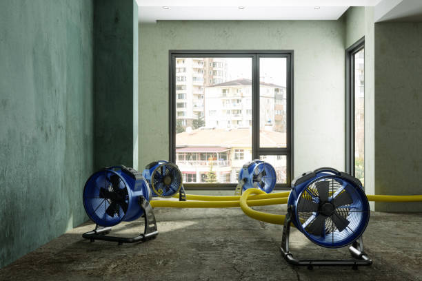 Best Water damage restoration specialists  in Macopin, NJ